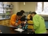 ��������ʪ�ۤǶ�ε���ޥ饵���륹�λ��Υ�ץꥫ�Ť���